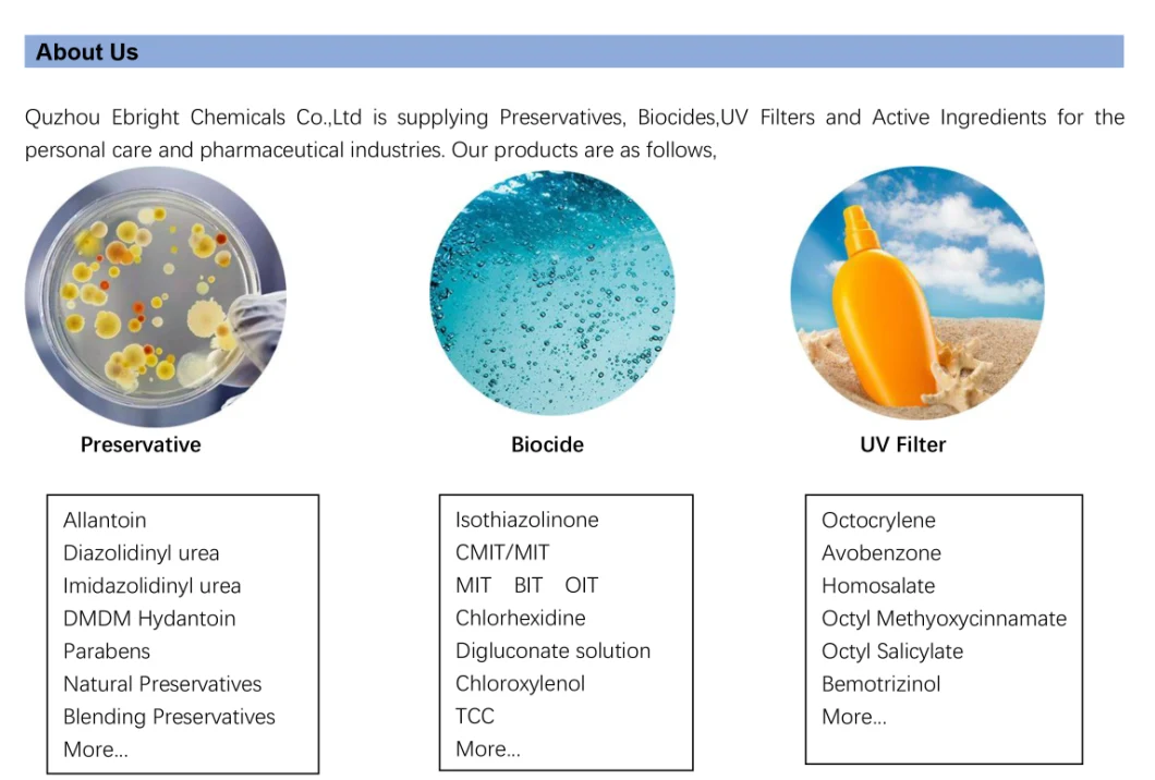 Biocide Kathone Fp 1.5 Equivalent with DPG Solvent