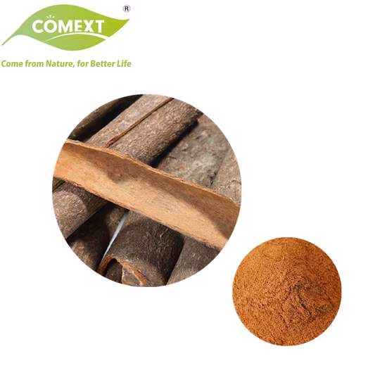 Extracto de planta de hierbas naturales de canela en polvo de secado por aspersión